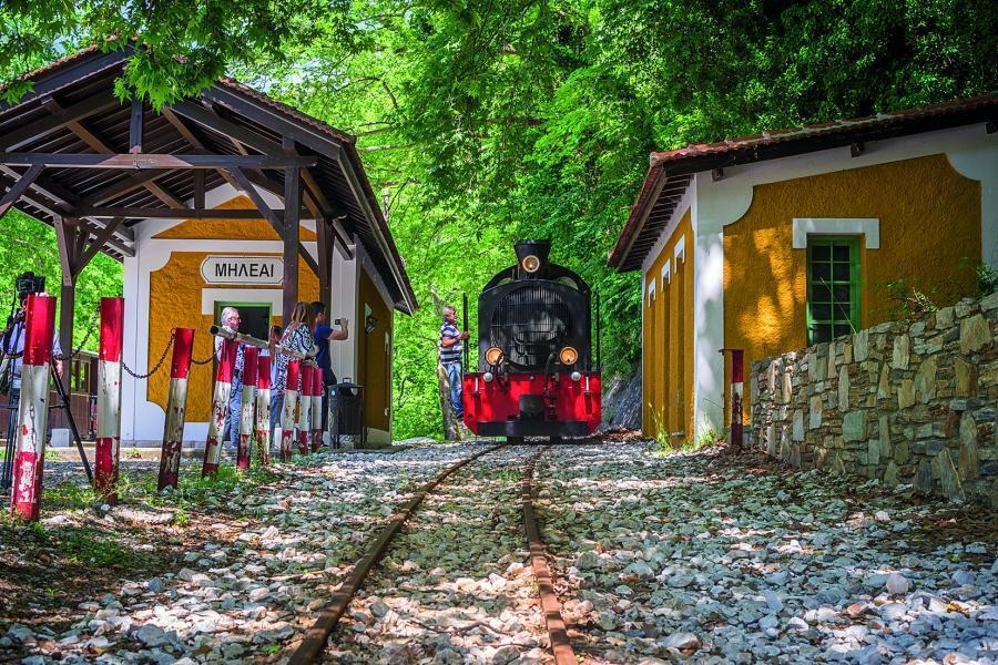Milies Pelion